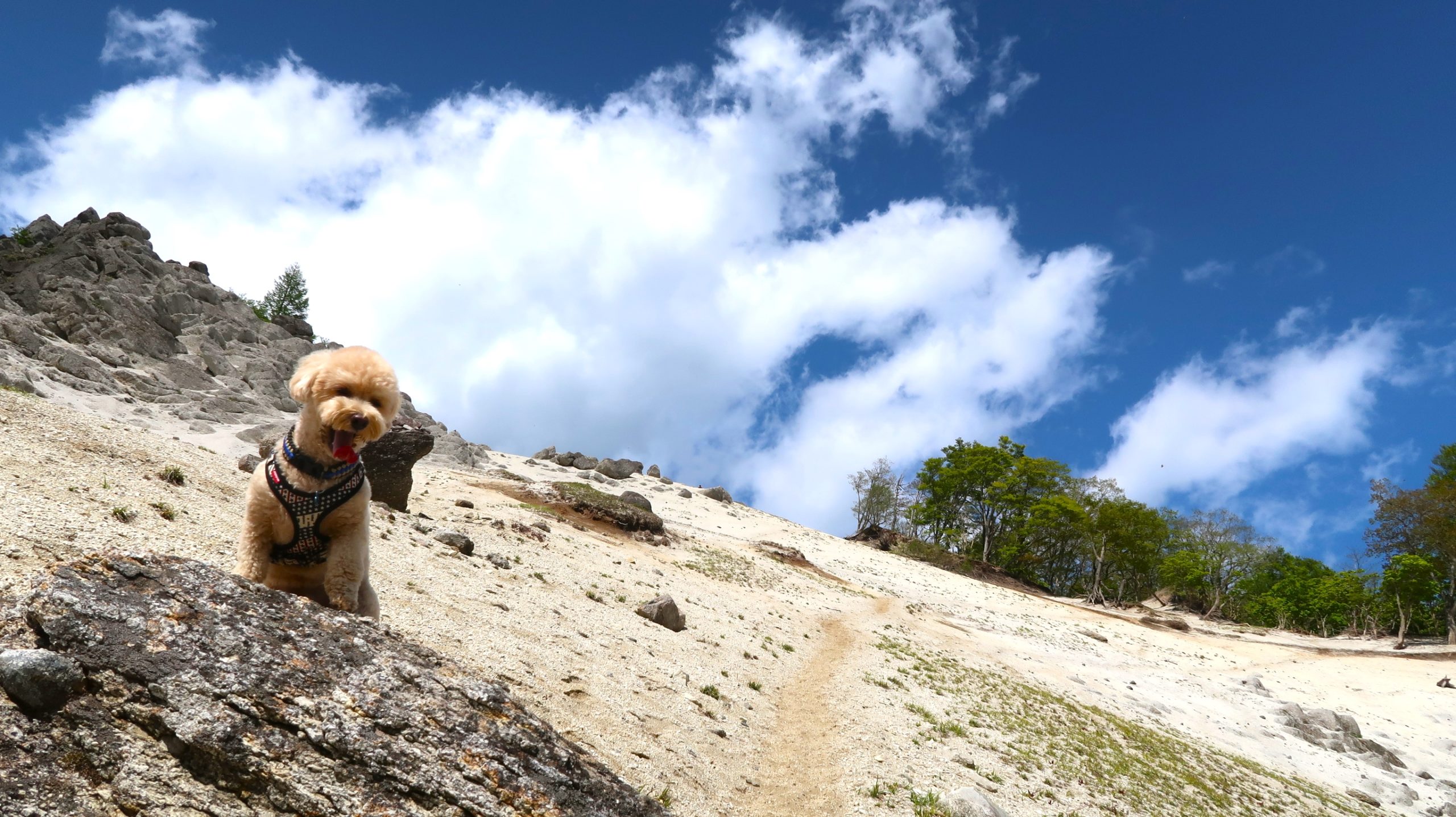 山梨県 北杜市）白い砂浜が美しい天空ビーチで常夏気分♪ ㊺日向山